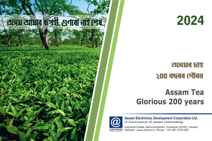 Assam tea story